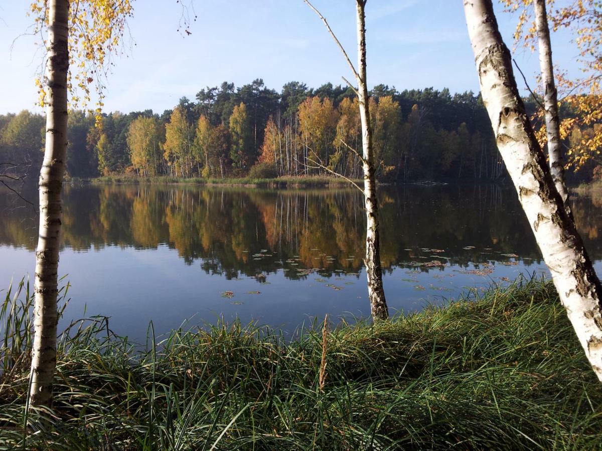 Seeblick III Bad Saarow Luaran gambar